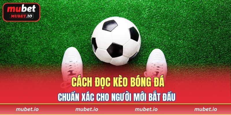 Cách Đọc Kèo Bóng Đá