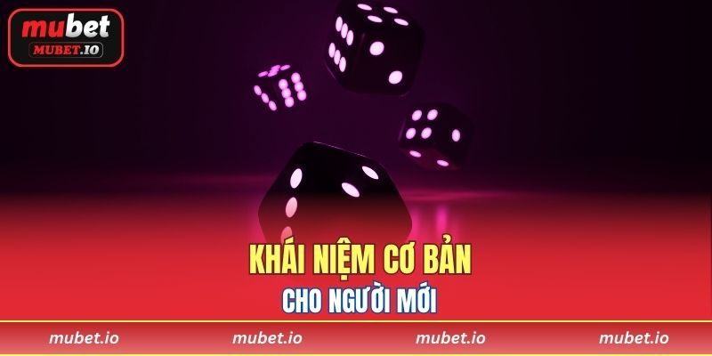 Khái niệm cơ bản cho người mới