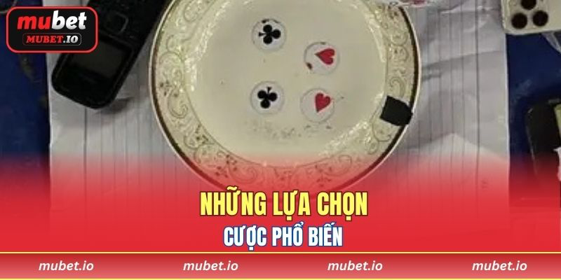 Những lựa chọn cược phổ biến