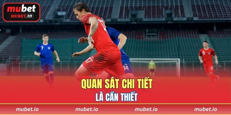 Quan sát chi tiết là cần thiết