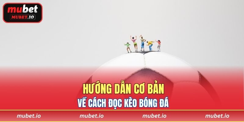 Hướng dẫn cơ bản về cách đọc kèo bóng đá