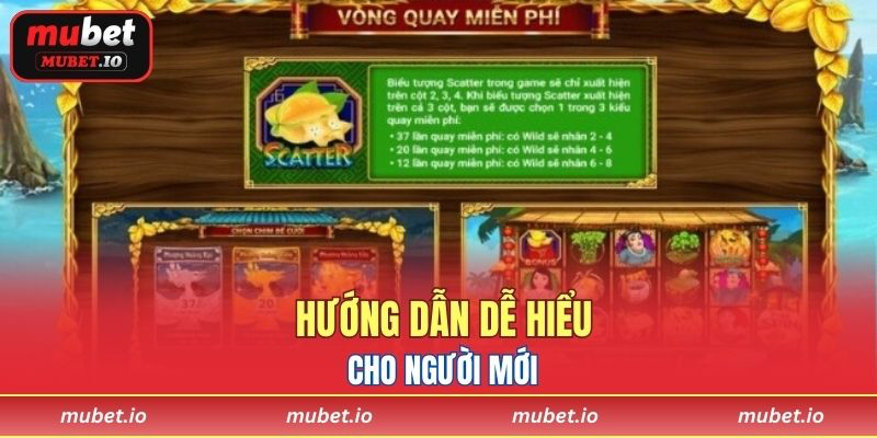 Hướng dẫn dễ hiểu cho người mới