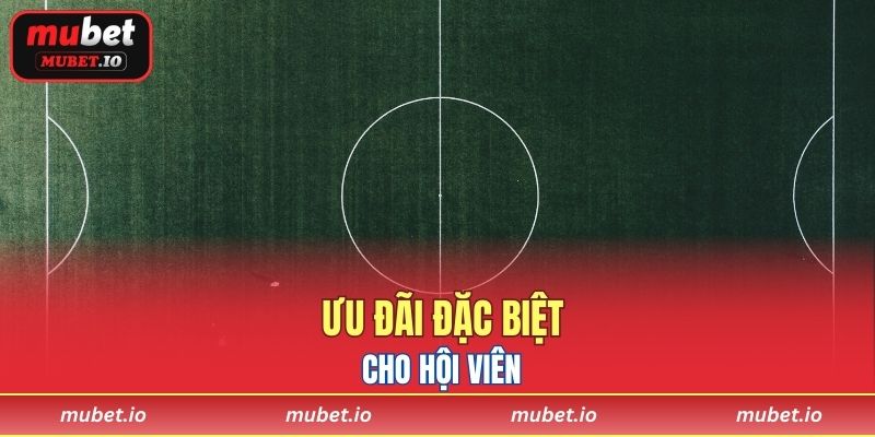 Ưu đãi đặc biệt cho hội viên